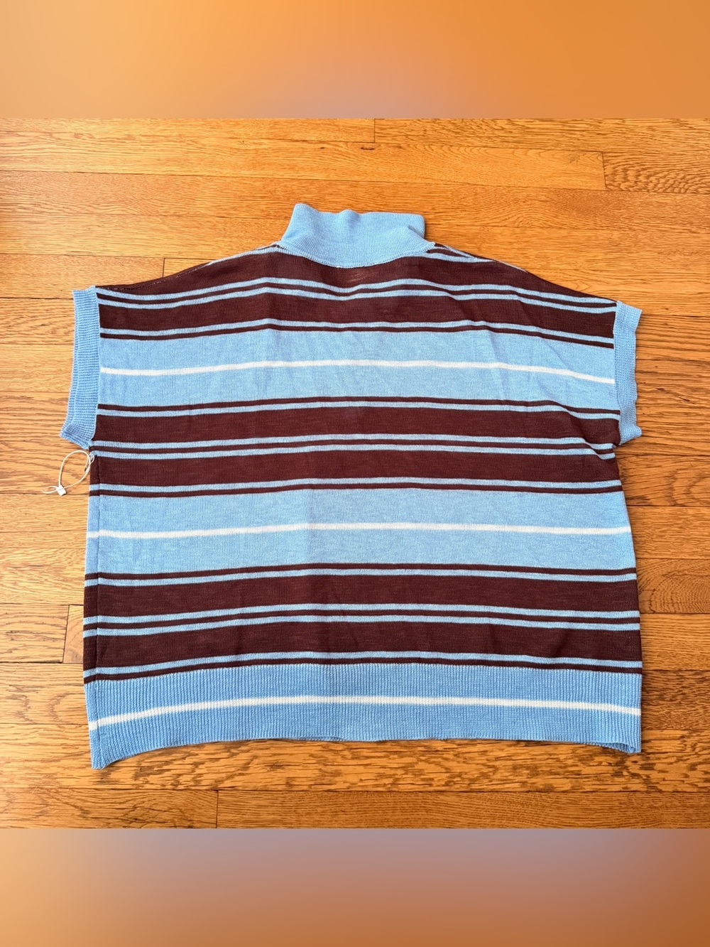 ANTHROPOLOGIE Light Blue & Brown Striped Knit Polo Sweater Vest - Picture 4 of 4
